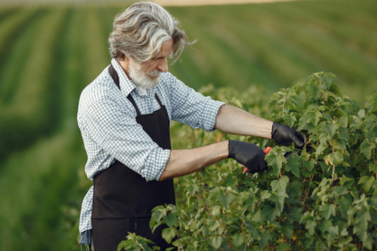 Para Luciano Guimaraes Tebar, a transição para baixo carbono exige inovação nas cadeias produtivas.