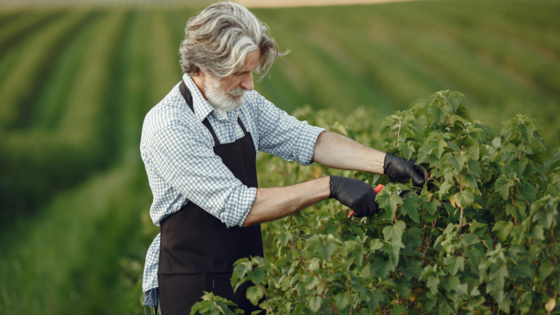 Para Luciano Guimaraes Tebar, a transição para baixo carbono exige inovação nas cadeias produtivas.